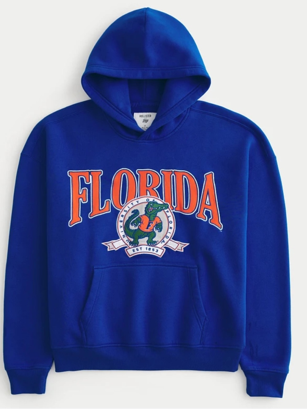 Hollister unisex Boxy University of Florida Gators graohic hoodie